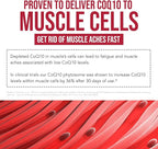 SoActive CoQ10® 250 mg: CoQ10 Phytosome with up to 9X Higher Absorption - Proven Cellular Delivery - Supports Cellular Energy Production (60 Capsules)