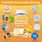 Probiotic Kombucha Gummies Sugar Free Prebiotic Postbiotic Probiotics Gummies with Slippery Elm for Women and Men Bloating Gut Health Immune and Digestive Support - 60 Gummies - 30 Servings