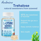 L-Lysine Gummies 1000 mg, with Trehalose, L Lysine Gummies for Lips & Oral Wellness, Immune Support & Collagen & Calcium, for Adults & Kids, Non-GMO, Vegan, Gluten Free, Berry Flavor, 60