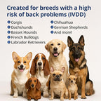 Under the Weather Disc & Spine Health Powder for Dogs | Spinal Disc Support | Vet Formulated Dog Joint Supplement for Long-Backed Breeds | IVDD Dog Supplies | Chicken Flavor Packets - 30 Day Supply M
