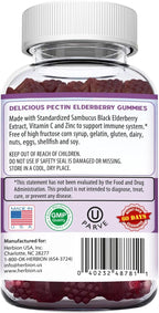 HERBION Elderberry Gummies with Vitamin C & Zinc - Healthy Immune System Support - Gluten-Free & Gelatin-Free - 60 Gummies for Adults & Children 4 Years & Above - Made in USA, 60 Count (Pack of 1)
