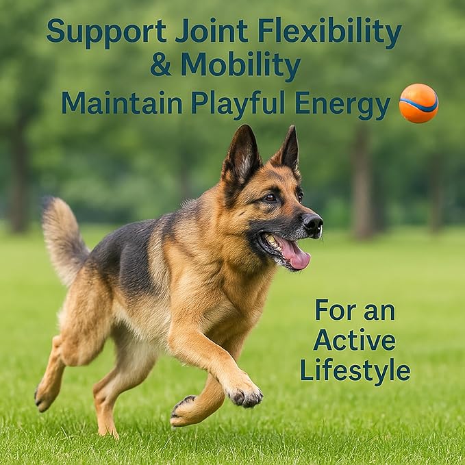 Premium Liquid Collagen for Dogs - Skin & Coat Supplement with Hyaluronic Acid & Biotin, Supports Joint Health, Mobility & Hydration for All Dogs, Bacon Flavor - 2 fl oz (1)