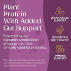 Wonderslim Protein Chips with Probiotics, Salt & Vinegar | 12g Plant Protein, 170 Cal | High Protein Chips, Vegan, Gluten Free, Non-GMO | Made with Avocado Oil, No Seed Oils | 12 Pack
