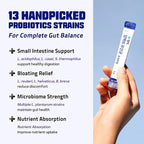 Doctor Developed Premium Impact Probiotics | 13 Probiotic Strains | 1 Billion CFU | for All Ages and Genders | Essential Vitamins | Digestive & Gut Health | Blueberry Yogurt Flavor | 30 Count