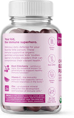 Hyland's Kids Organic Elderberry Plus Gummies, Organic Black Elderberry with ZINC and Vitamin C, Immune Support for Children, 48 Vegan Gummies (Pack of 2)