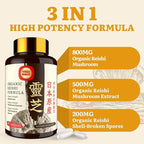 Japanese Reishi Mushroom Supplement 800mg with Reishi Mushroom Extract 500mg & Shell-Broken Spores 200mg,Organic Mushroom Capsules for Immune System - Real Fruiting Body (Pack of 2)