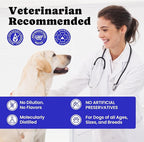 Wild Alaskan Salmon Oil for Dogs & Cats – Fast-Absorbing Fish Oil for Dogs with Krill Oil, Omega 3 6 9 Fish Oil Supplement from 8 Deep Sea Fishs for Skin, Coat, Joints & Heart -16oz (90 Day Supply)