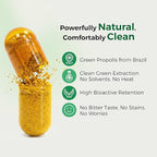 LABO Nutrition Brazilian Green Propolis Ultimate – Propolis Extract with 28mg Artepillin C and 5% Flavonoids Natural Bee Supplement for Immune, Brain Support High Concentrate Propolis, 60 Veg Capsx3