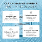 Hydrolyzed Marine Collagen Peptides Powder Unflavored 300g | Type I–IV from Wild-Caught White Fish, Essential Amino Acids for Skin, Hair, Nails, Bone & Joint Support – Non-GMO | Centenarius Nutrition