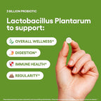 Lactobacillus Plantarum Probiotic Supplement 240 Tablets 3 Billion CFU Probiotics for Men & Women Supports Intestinal Digestive & Gut Health (240, Lactobacillus Plantarum)