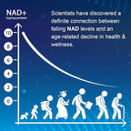 NMNH (Dihydronicotinamide Mononucleotide), NAD Supplement to Boost NAD+ Levels as We Age (May Be More Effective Than Nicotinamide Riboside), NMNH Supplement for Anti-Aging, 60 Capsules (60 Servings)