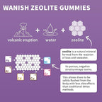 Wanish (2 Packs) Zeolite Gummies for Adults - Zeolite Clinoptilolite, Chlorella, Milk Thistle & Vitamins- Supports Immune Health, Gut and Liver, Vegan, Non-GMO, Sugar Free, Apple Flavor, 120 Count