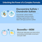 purmeo 5-Day Fast-Acting Joint Health Supplement - Support for Comfort, Cartilage, Strength & Flexibility - OVOMET Eggshell Membrane Glucosamine Chondroitin, MSM & Boswellia - Made in Germany, 120ct