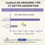 Liposomal Ubiquinol CoQ10 800 MG Softgel, High Absorption CoQ10 Ubiquinol Supplement, Active Coenzyme Q10 800mg, Powerful Antioxidant for Heart & Brain Function, Energy Production, 60 Vegan Softgels