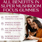 Auri Nutrition Super Mushroom Focus Gummies w/Lion's Mane, Alpha GPC & Rhodiola – Mushroom Supplement to Support Cognitive Function, Mental Clarity, Focus & Energy, 60 Gummies, Vegan Friendly, Non GMO