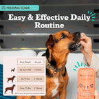 Natural Dog Company Skin & Coat Supplement Chew for Dogs – Omega 3 Salmon Oil, Biotin & Vitamin E Support Shiny Coat, Healthy Skin & Normal Shedding, Promotes Comfort from Occasional Itch, 180 Count