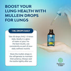 Organic Mullein Drops for Lungs - Herbal Lung Detox & Cleanse with Marshmallow Root Extract & Plantain Leaf for Respiratory Lung Health - Mullein Leaf Tincture Drops for Breathing Support - 4 Fl Oz