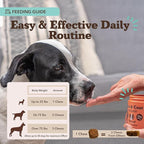 Natural Dog Company Skin & Coat Supplement for Dogs – Omega 3 Salmon Oil, Biotin & Vitamin E Support Shiny Coat, Healthy Skin & Normal Shedding, Promotes Comfort from Occasional Itch, 90 Count
