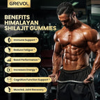 Grevol Himalayan Shilajit Gummies with Ashwagandha - Fulvic Acid & 85+ Trace Minerals - No Added Sugar - Shilajit for Men & Women - 60 Gummy