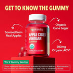 Apple Cider Vinegar Gummies - Organic ACV Vitamins for Digestive Health, Metabolism & Gut Support - 30 Count - Vegan, Non-GMO, Gluten-Free - Delicious Flavor & No Harsh Taste - 15 Day Supply