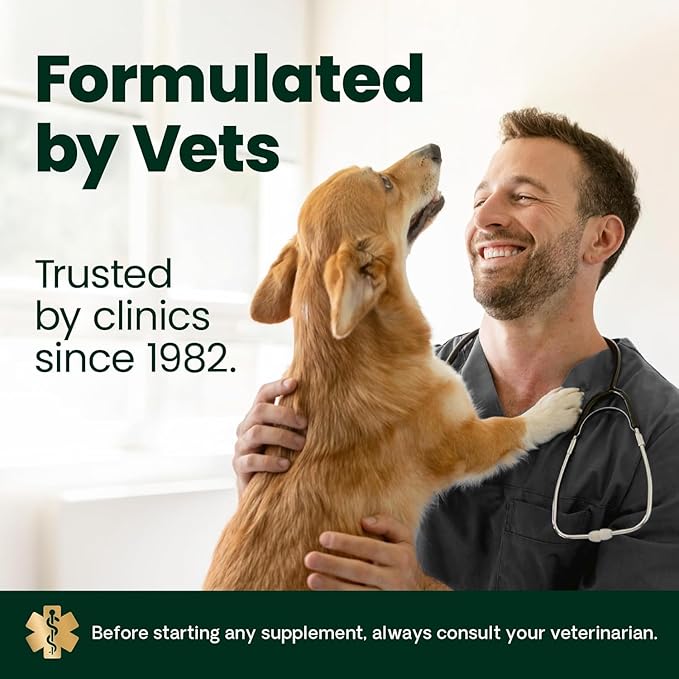 VetriScience Ultimate Strength Hip & Joint Supplement for Dogs, GlycoFlex Plus – MSM, Chondroitin & Green-Lipped Mussel Chews for Mobility, Flexibility, Comfort & Support, Bacon Flavor, 60 Cnt