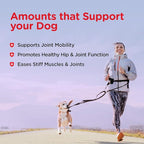 Nutri-Vet Hip and Joint Biscuits for Dogs, Large Breed Mobility Supplement, 300mg Glucosamine per Dog Treat, Supports Cartilage Flexibility and Connective Tissue, Crunchy Peanut Butter Flavor, 4lb Bag