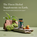 Gaia Herbs Turmeric Supreme Joint Health - Joint Support Supplement with Cucumber, Quercetin, Black Pepper, Ginger Root, Curcuminoids & More* - 60 Liquid Phyto-Caps (30 Servings)
