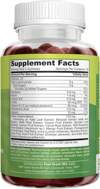 Feel Great Super Green Gummies for Kids (2 Pack) | Fruit and Vegetable Gummies | Vegan Veggie Gummy Multivitamin for Kids | Veggie Fiber Supplement | 60 Count