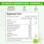 2 Pack Ginkgo Biloba Gummies 240MG with Panax Ginseng for Better Mood and Focus, Booster Brain Health, 120 Vegan Apple Flavor Gummies