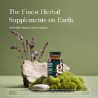 Gaia Herbs Adrenal Health Nightly Restore - Herbal Supplement with Ashwagandha, Magnolia Bark, Cordyceps, Lemon Balm & More* - 60 Vegan Liquid Phyto-Caps (30 Servings)
