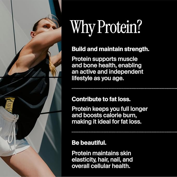 David Protein Bar, David Favorites, 60 Protein Bars | 28g of Protein | 150 Calories | 0g of Sugar - High Protein, Low Carb, Gluten Free Protein Bar, Pack of 60