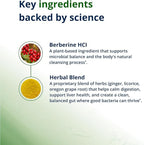 Metagenics CandiBactin‑BR - Concentrated Berberine for Intestinal Support* - 400 mg Berberine HCl per Serving with Oregon Grape & Coptis Root* - Supports Gut Health & Microbial Balance* - 180 Tablets