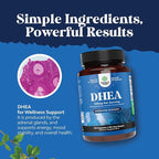 Natures Craft DHEA 100mg per Serving Capsules for Men and Women - Vegan High Strength DHEA Supplement for Women & Men for Energy and Hormone Balance - Womens Hormone Balance Supplement - 120 Count