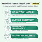 Doctor.By Hip&Joint Swift for Dogs - Advanced Joint & Cartilage Support Supplement with Green-Lipped Mussel Oil, Eggshell Membrane 120 Soft Gels