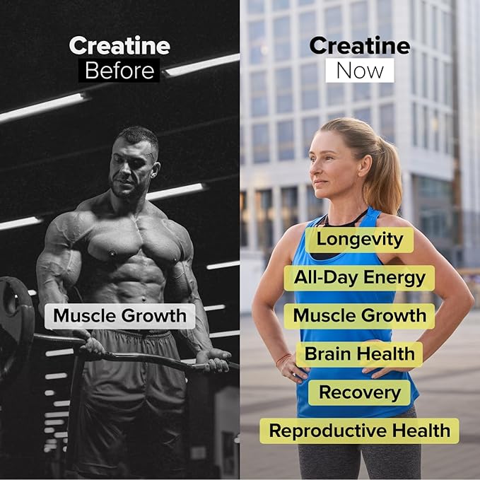 Complement Creatine Monohydrate Micronized Powder - Pre-Workout, Post-Workout, Muscle Recovery, Brain Health, Longevity, Energy Supplements for Women and Men - Vegan, Unflavored (5g, 60 Servings)