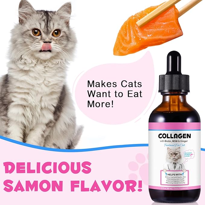 Liquid Collagen for Cats, Cats Collagen Liquid Drops with Biotin, MSM & Ginger Immunity Support, Itch Relief, Skin & Coat and Joint Health Supplement for Cat 60ml