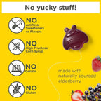 Zarbee's No Sugar Coating Elderberry Gummies for Kids, Daily Immune Support* Gummies with Vitamins C, D3 & Zinc to Support a Healthy Immune System*, No Artificial Flavors, Ages 2+, 42 ct