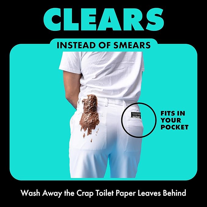 DUDE Wipes - On-The-Go Flushable Wipes - 4 Pack, 60 Count - Mint Chill Extra-Large Individually Wrapped Adult - with Eucalyptus & Tea Tree Oil - Septic and Sewer Safe