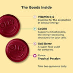 OLLY Daily Energy Gummy, Caffeine Free Cellular Energy Production,* Vitamin B12, CoQ10, Goji Berry, Adult Chewable Supplement, Tropical Passion Flavored, 60 Day Supply - 120 Count