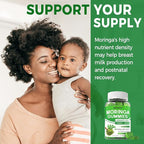 Moringa Gummies for Women Men, Sugar Free, Vegan, with 10 Billion CFU Probiotic Turmeric Ginger Ceylon Cinnamon, Chewable Organic Pure Moringa Leaf Supplement for Adults | Gut & Immune Support, 60Cts