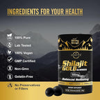 Pure Himalayan Shilajit Gummies – 75%+ Fulvic Acid, High Potency Gold Grade – Blend for Energy, Vitality & Immune Support, Travel - Friendly, Tamarind Flavor – 60 Gummies