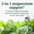 INNATE Response Formulas Magnesium 300 mg - Mineral Supplement for Muscle Relaxation - Vegetarian and Gluten-Free - 120 Capsules (60 Servings)