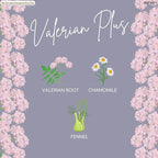 Dr Stuart's Organic Valerian Plus Tea | Herbal Blend of Chamomile, Valerian Root & Fennel | Bedtime Tea Helps in Restful Sleep & Relaxation | Naturally Caffeine Free | 0.91 Oz (15 Teabags)