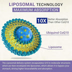 Liposomal Ubiquinol CoQ10 800 MG Softgel, High Absorption CoQ10 Ubiquinol Supplement, Active Coenzyme Q10 800mg, Powerful Antioxidant for Heart & Brain Function, Energy Production, 120 Vegan Softgels