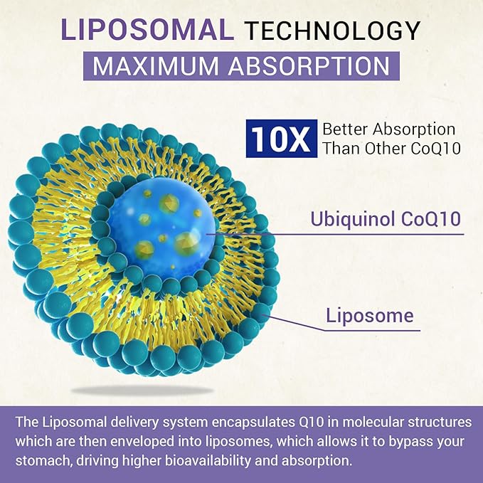 Liposomal Ubiquinol CoQ10 800 MG Softgel, High Absorption CoQ10 Ubiquinol Supplement, Active Coenzyme Q10 800mg, Powerful Antioxidant for Heart & Brain Function, Energy Production, 120 Vegan Softgels
