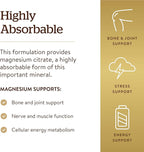 Solgar - Magnesium Citrate, 120 Tablets, Supports Nerve and Muscle Function - 2 Pack