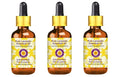 Deve Herbes Pure Lavender Essential Oil (Lavandula angustifolia) with Glass Dropper Steam Distilled (Pack of Three) 100ml X 3 (10 oz)