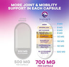 Glucosamine Chondroitin & MSM - 3x Strength Joint Support Supplement for Mobility & Comfort - Glucosamine Complex with Turmeric, Boswellia, Bromelain & Quercetin - Bottled in USA - 60 Capsules