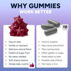 Sugar-Free Resveratrol Gummies - Potent Anti-Aging Antioxidant - Resveratrol Supplement to Support Digestive & Immune Health - Natural Herb for Cell Growth & Repair - Easy Chewable NMN Alternative