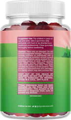 Natures Craft High Prebiotic Fiber Gummies for Kids - Dietary Fiber Supplements for Digestion & Constipation - Chicory Root Kids Immune Gummies - Non-GMO Digestive Nutritional Supplements - 120 Count